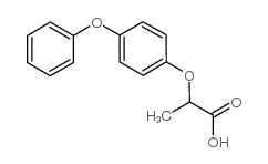 Propanoic acid, 2-(4-phenoxyphenoxy)- picture