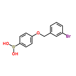 4-(3'-BROMOBENZYLOXY)PHENYLBORONIC ACID structure