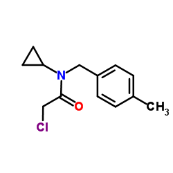 2-Chloro-N-cyclopropyl-N-(4-methylbenzyl)acetamide结构式