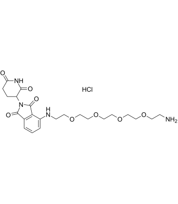 Pomalidomide-PEG4-C2-NH2 hydrochloride结构式