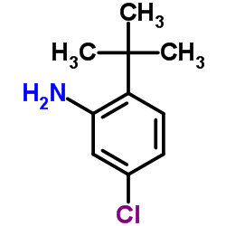 Aniline, 2-tert-butyl-5-chloro- Structure