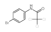 Acetamide,N-(4-bromophenyl)-2,2,2-trichloro- structure