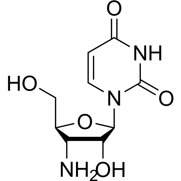 3'-Amino-3'-deoxyuridine picture