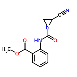 Native Streptomyces griseus Aminopeptidase I Structure