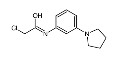 2-chloro-N-(3-pyrrolidin-1-ylphenyl)acetamide图片