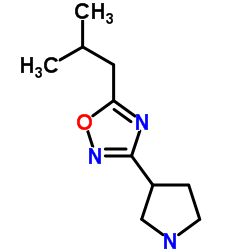 5-Isobutyl-3-(3-pyrrolidinyl)-1,2,4-oxadiazole Structure