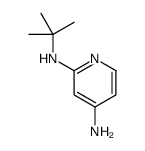 N2-tert-butylpyridine-2,4-diamine结构式