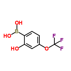 2-Hydroxy-4-(trifluoromethoxy)phenylboronic acid structure