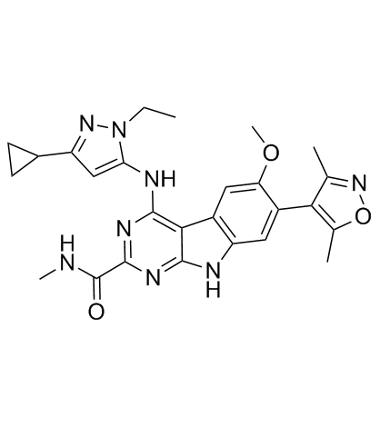 HJB97 Structure