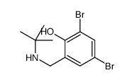 53500-38-2 structure