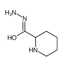 2-Piperidinecarboxylicacid,hydrazide(9CI) structure