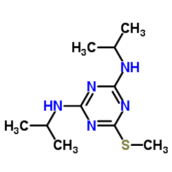 7287-19-6 structure