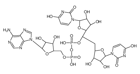 uridylyl-(3'-5')-adenylyl-(3'-5')uridine结构式