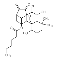 81078-04-8结构式