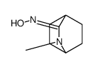 N-(3-methyl-3-azabicyclo[2.2.2]octan-2-ylidene)hydroxylamine Structure