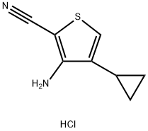 3-amino-4-cyclopropylthiophene-2-carbonitrile hcl structure