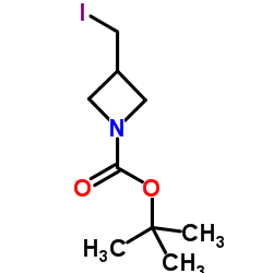 TERT-BUTYL 3-(IODOMETHYL)AZETIDINE-1-CARBOXYLATE picture