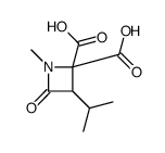 2,2-Azetidinedicarboxylicacid,1-methyl-3-(1-methylethyl)-4-oxo-(9CI)结构式