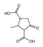 2-甲基-4-氧代-1,3-吡咯烷二羧酸结构式