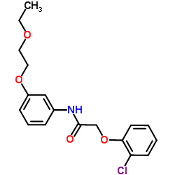 2-(2-Chlorophenoxy)-N-[3-(2-ethoxyethoxy)phenyl]acetamide结构式