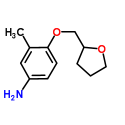 3-Methyl-4-(tetrahydro-2-furanylmethoxy)aniline Structure