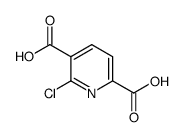 6-chloropyridine-2,5-dicarboxylic acid picture