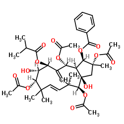 麻风树碱 4图片