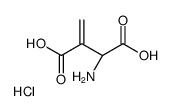 (2S)-2-amino-3-methylidenebutanedioic acid,hydrochloride Structure