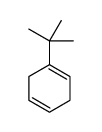 1-tert-butylcyclohexa-1,4-diene结构式