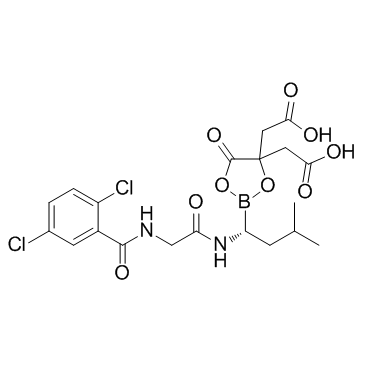 (R)-2,2'-(2-(1-(2-(2,5-二氯苯甲酰胺)乙酰氨基)-3-甲基丁基)-5-氧代-1,3,2-二氧硼戊环-4,4-二基)二乙酸结构式