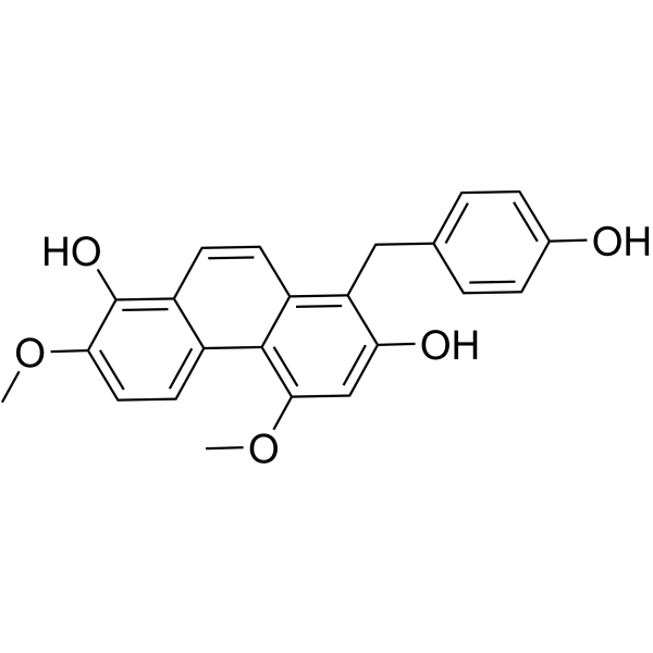 2185837-61-8 structure