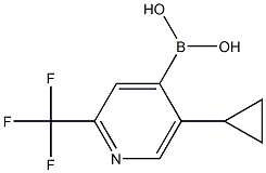 5-(cyclopropyl)-2-trifluoromethylpyridine-4-boronic acid图片