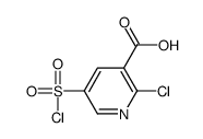 2-chloro-5-chlorosulfonylpyridine-3-carboxylic acid Structure