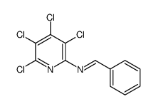 1-phenyl-N-(3,4,5,6-tetrachloropyridin-2-yl)methanimine结构式