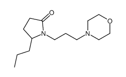 1-(3-morpholin-4-ylpropyl)-5-propylpyrrolidin-2-one Structure