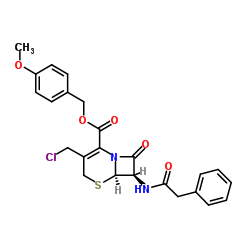 GCLE Structure