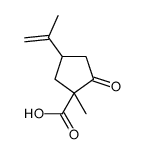 1-methyl-2-oxo-4-prop-1-en-2-ylcyclopentane-1-carboxylic acid结构式