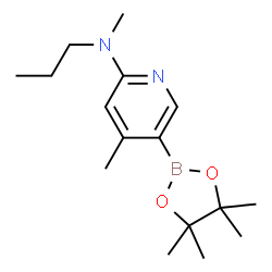 N,4-dimethyl-N-propyl-5-(4,4,5,5-tetramethyl-1,3,2-dioxaborolan-2-yl)pyridin-2-amine结构式