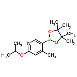 2-Isopropoxy-4-methylpyridine-5-boronic acid pinacol ester picture