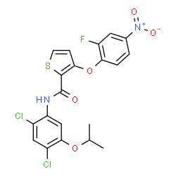 N-(2,4-Dichloro-5-isopropoxyphenyl)-3-(2-fluoro-4-nitrophenoxy)-2-thiophenecarboxamide picture