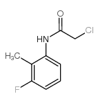 2-氯-n-(3-氟-2-甲基-苯基)-乙酰胺图片