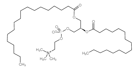 1-硬脂酰基-2-棕榈酰基-sn-甘油-3-磷酸胆碱图片