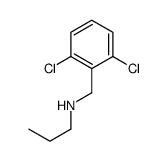 N-(2,6-Dichlorobenzyl)-1-propanamine picture