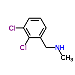 N-(2,3-二氯苄基)甲胺图片