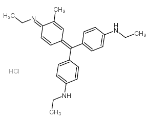 Hofmann’s Violet picture