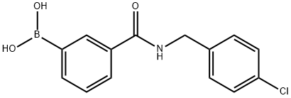 Boronic acid, B-[3-[[[(4-chlorophenyl)methyl]amino]carbonyl]phenyl]- picture