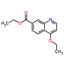 4-乙氧基喹啉-7-羧酸乙酯图片