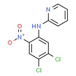 N2-(4,5-DICHLORO-2-NITROPHENYL)PYRIDIN-2-AMINE Structure