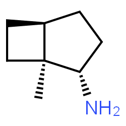 Bicyclo[3.2.0]heptan-2-amine, 1-methyl-, (1alpha,2alpha,5alpha)- (9CI)结构式