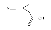 2-cyano-1-cyclopropanecarboxylic acid structure